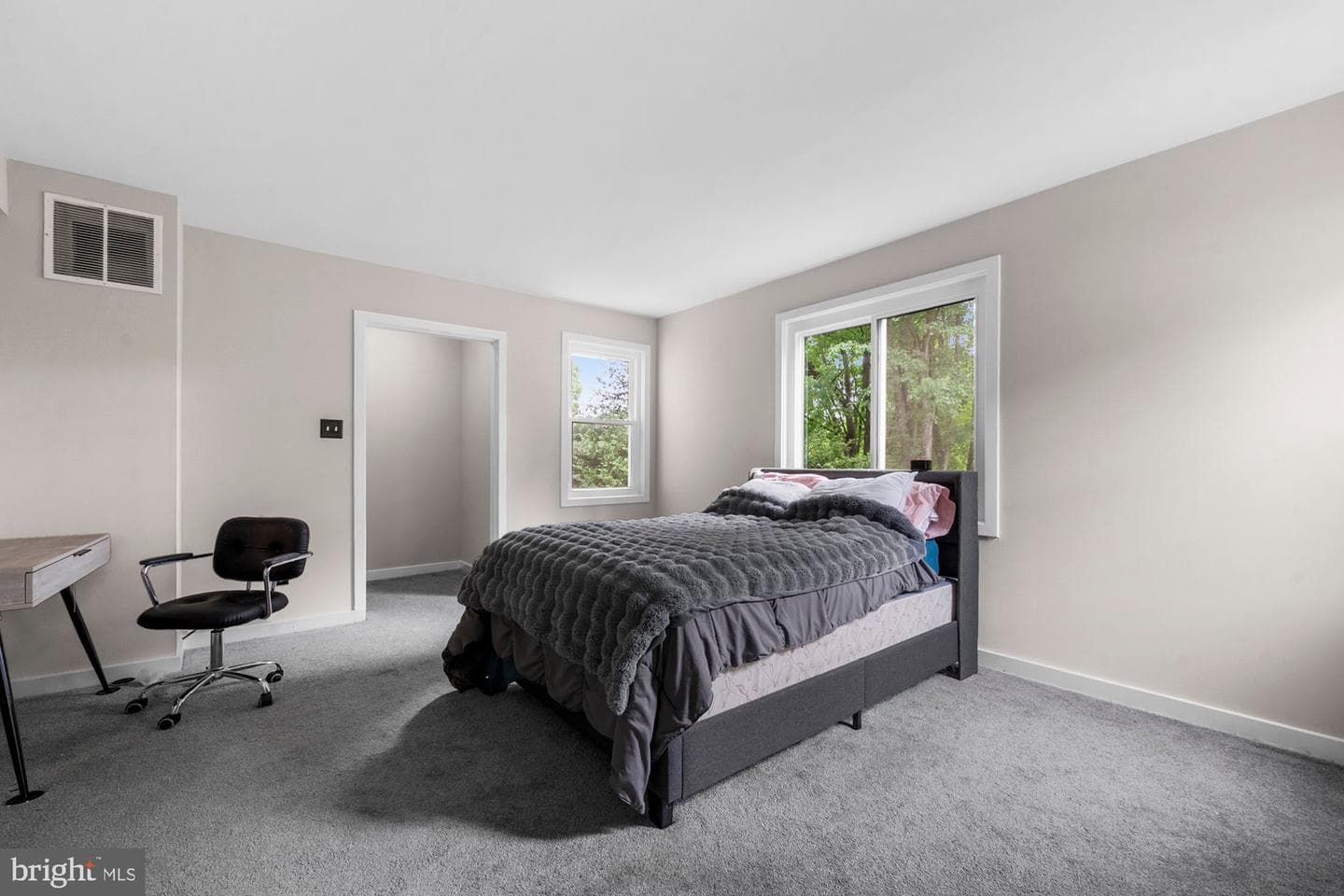 1316 Alps Drive photo 48