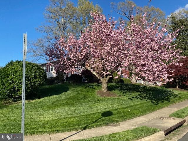 7211 Ashview Drive photo 73