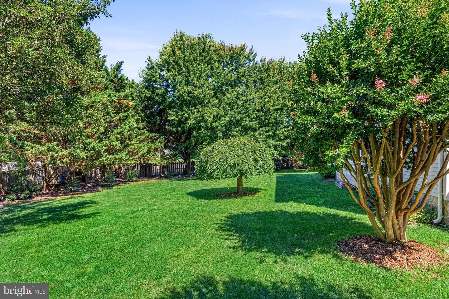 13425 Alfred Mill Court photo 39