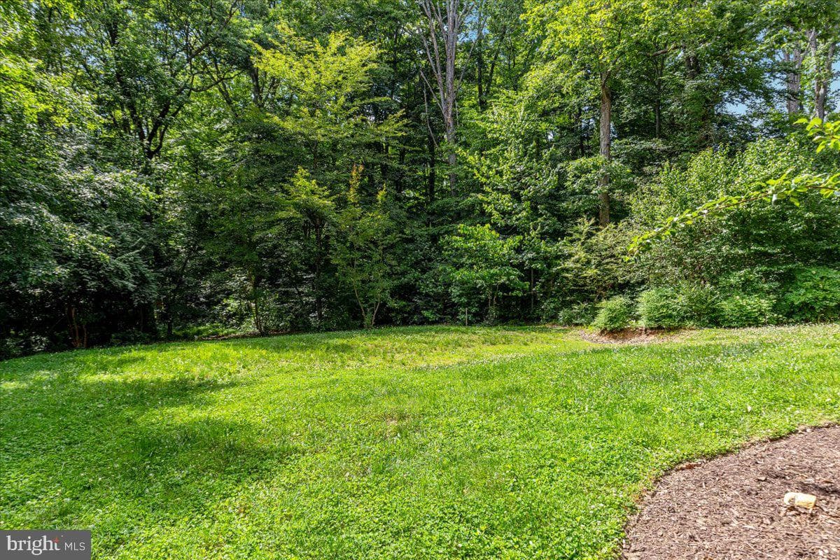 7131 Woodland Drive photo 79
