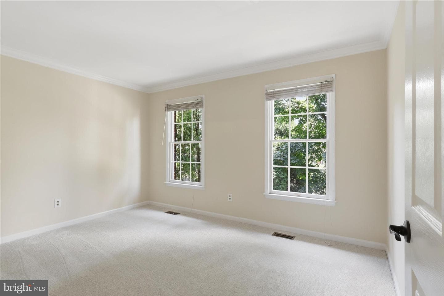 3801 Wheatgrain Lane photo 32
