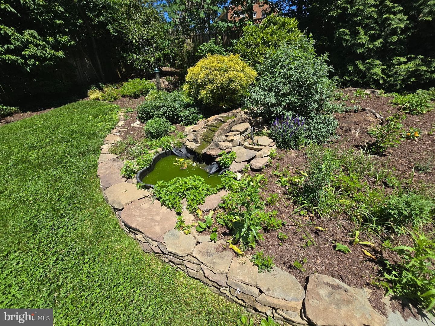 1805 Great Falls Street photo 3