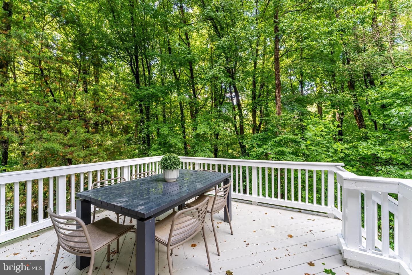 11634 Springhouse Place photo 56