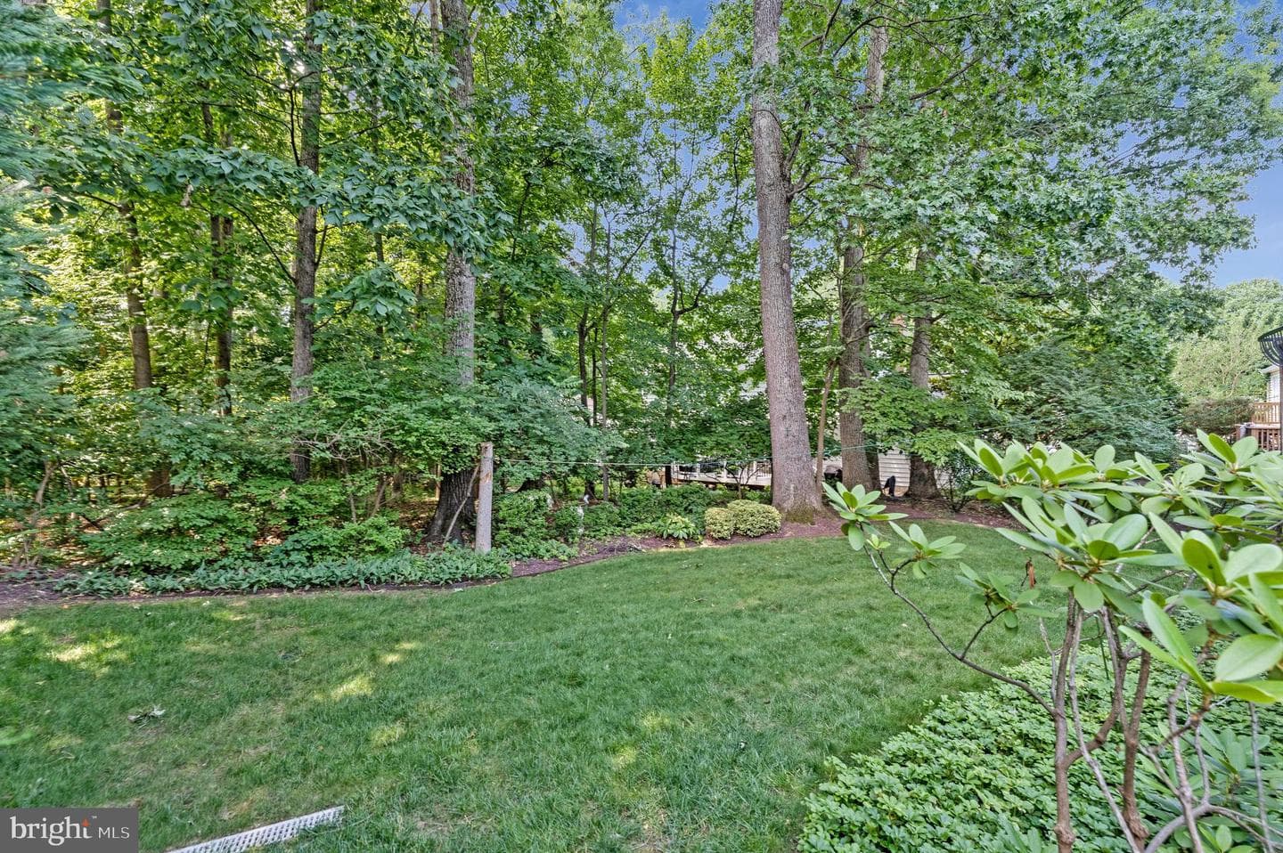 9759 Hatmark Court photo 48