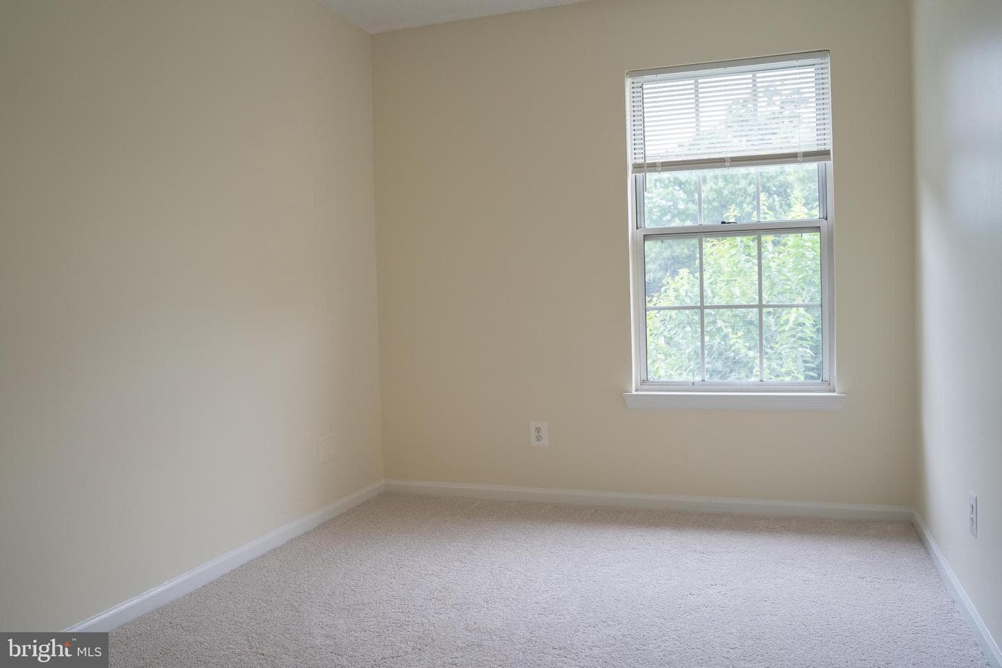 12101 Greenwood Court #301 photo 30