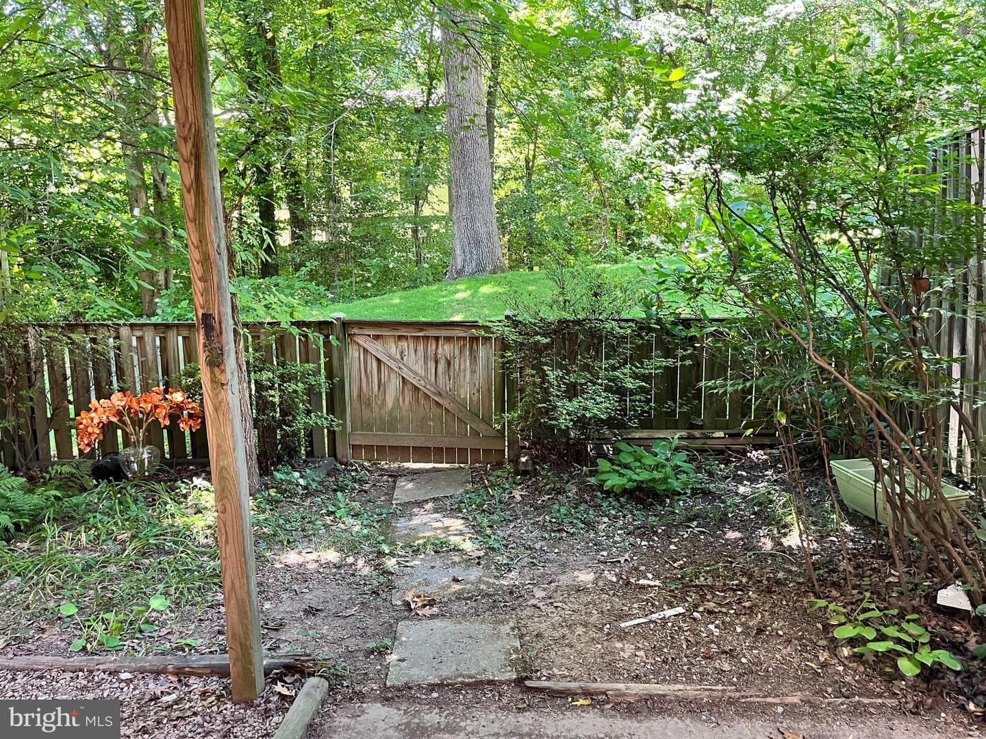 5822 Jacksons Oak Court photo 14