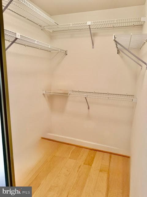 8015 Merry Oaks Court photo 14