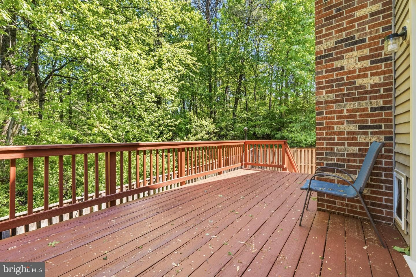 3979 Burning Bush Court photo 35