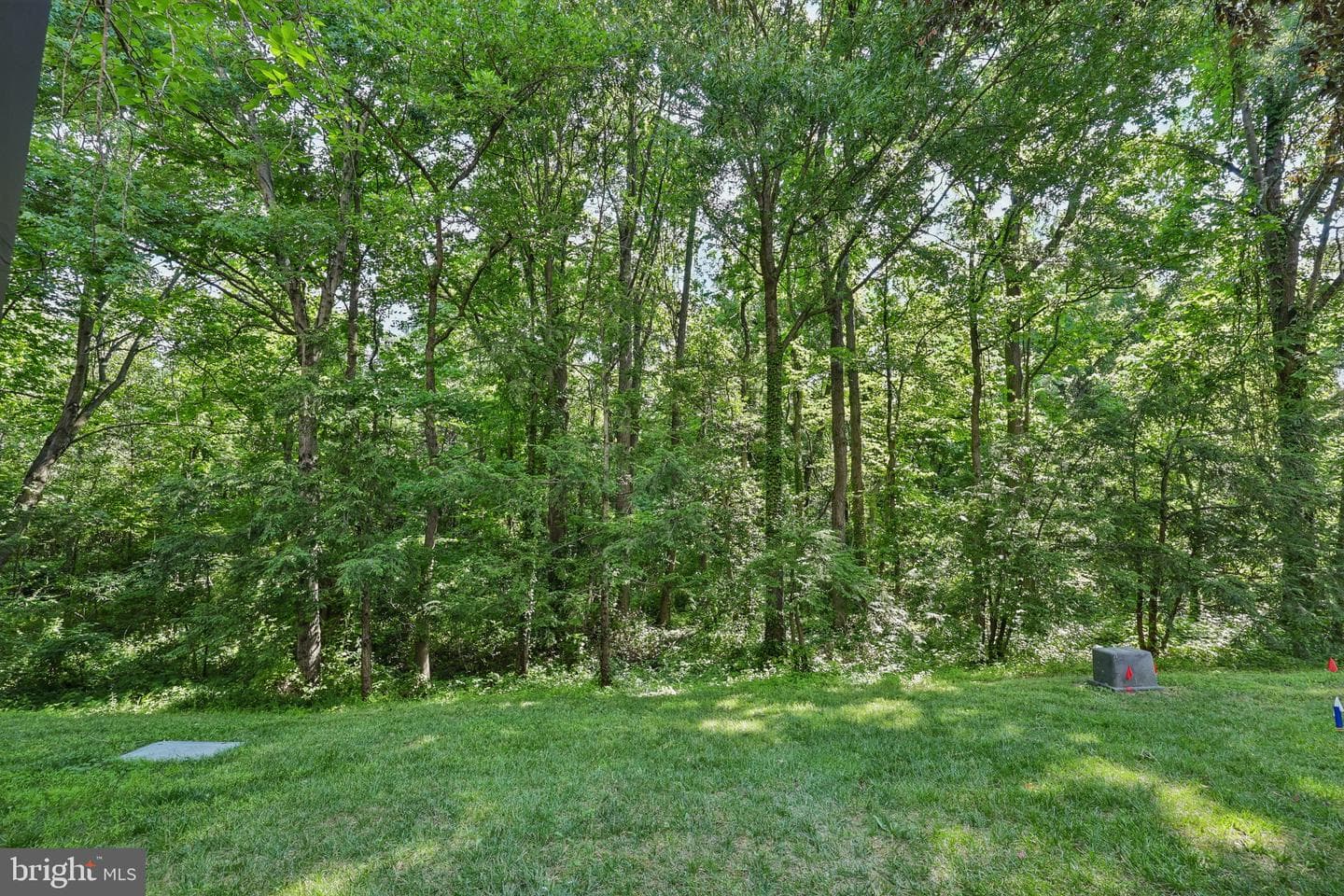 6140 Manchester Park Circle photo 38