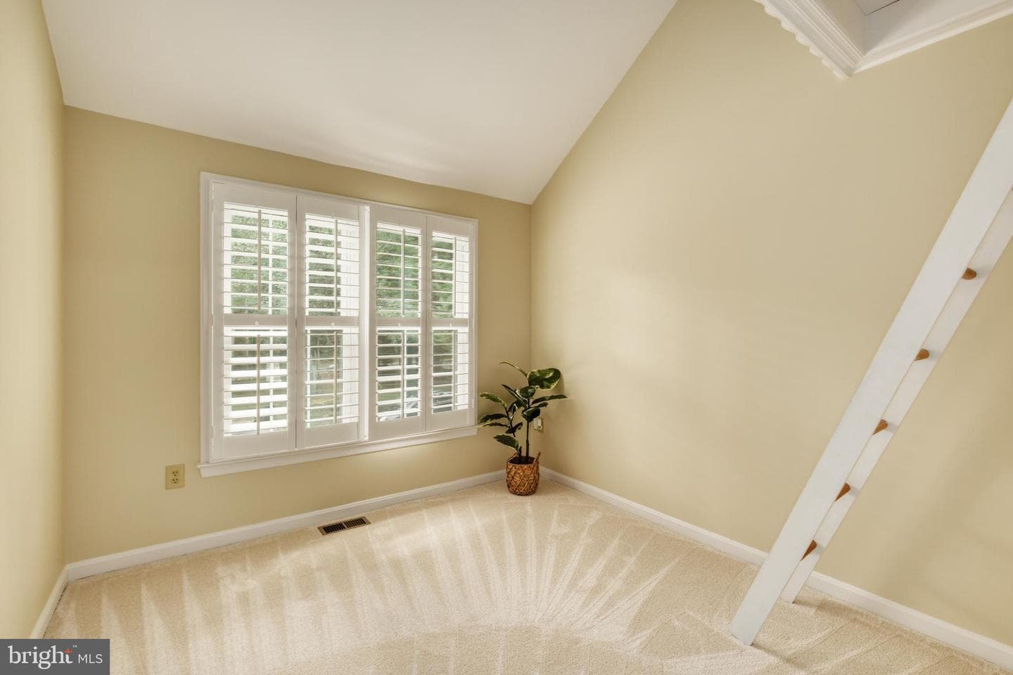 8174 Cliffview Avenue photo 32