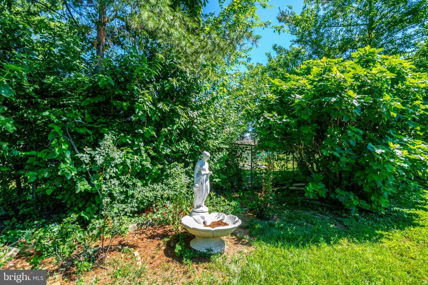 3124 Glen Carlyn Road photo 69