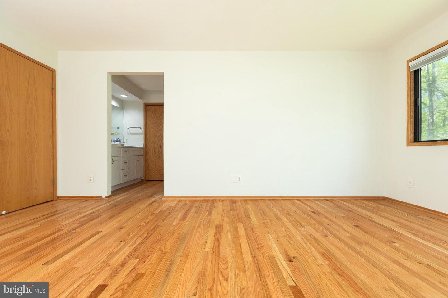 513 Springvale Road photo 40