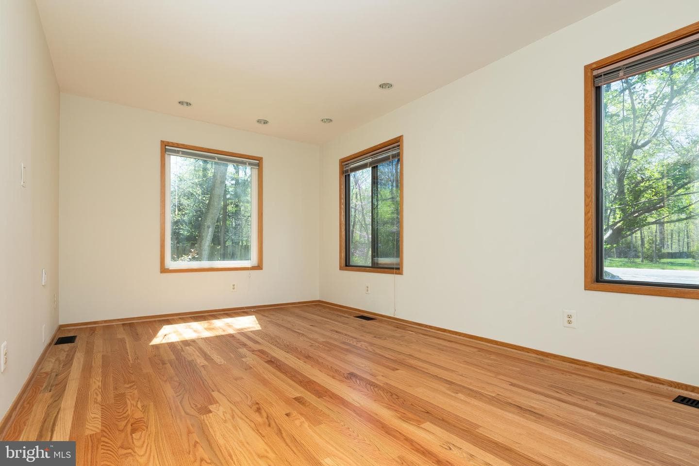 513 Springvale Road photo 46
