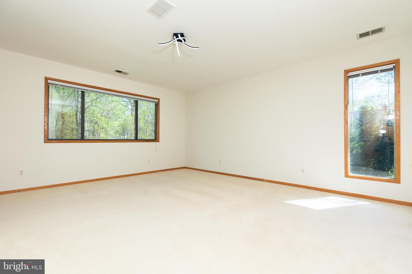 513 Springvale Road photo 48