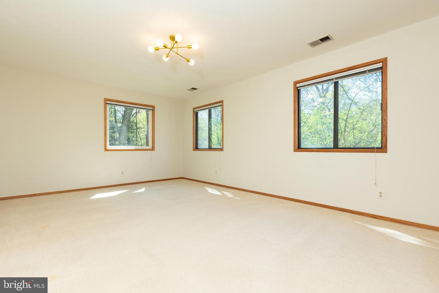 513 Springvale Road photo 54