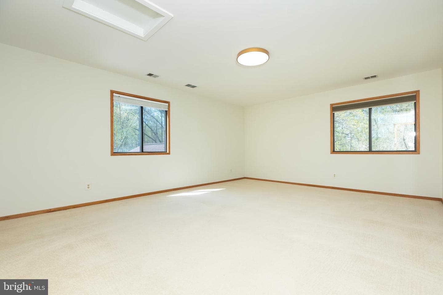 513 Springvale Road photo 59