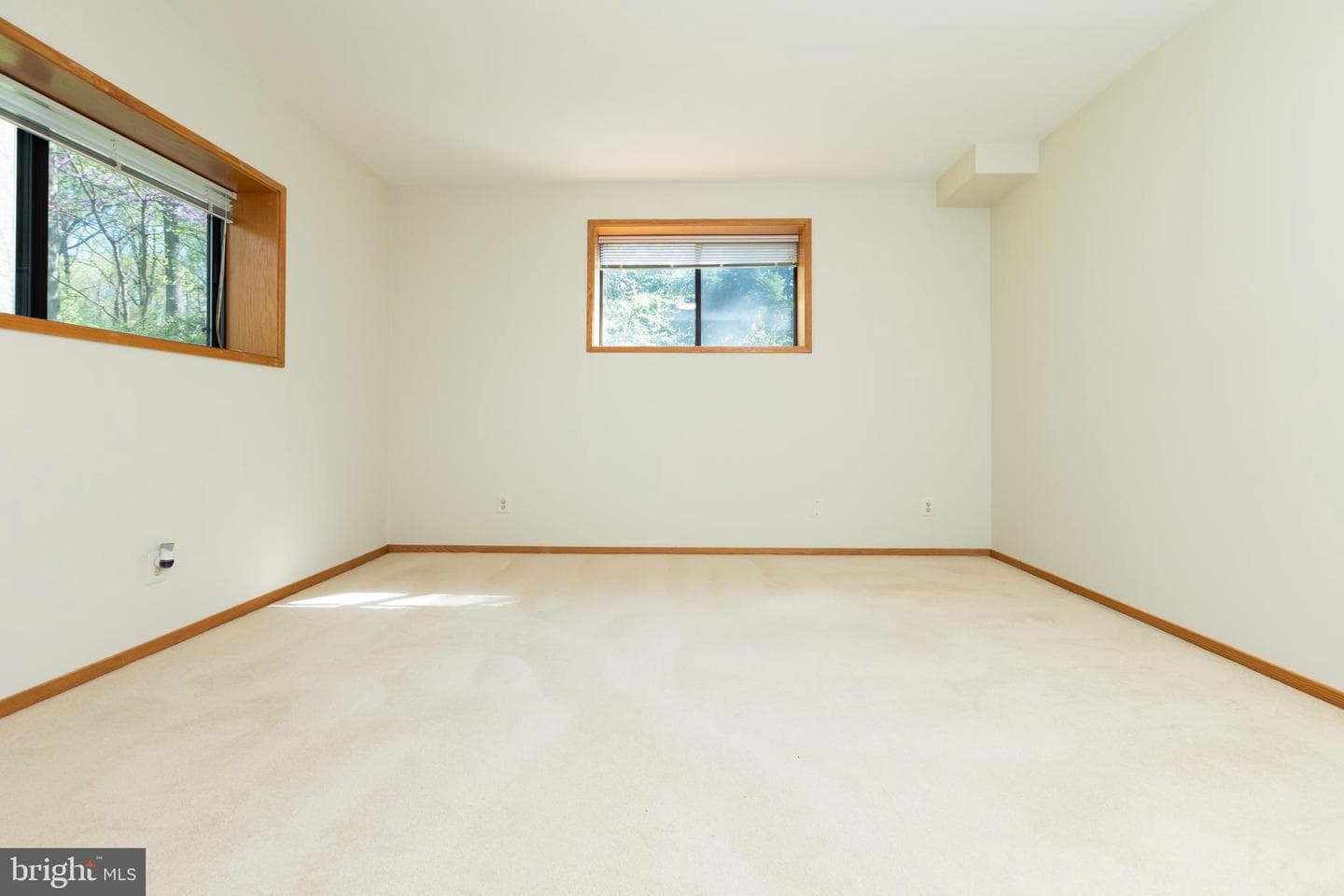 513 Springvale Road photo 74