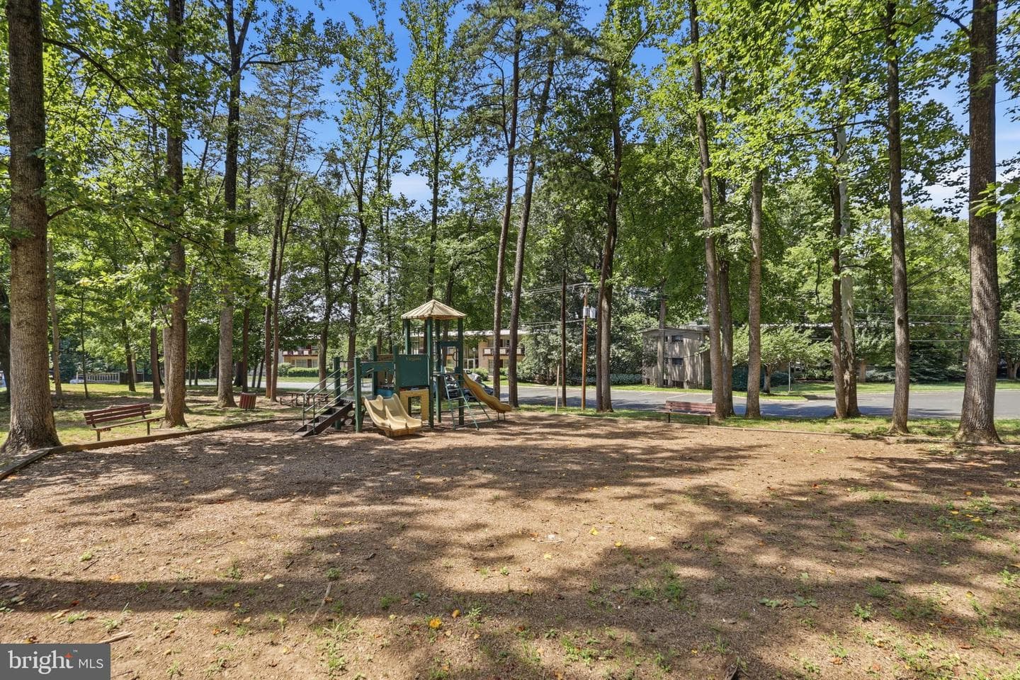 4203 Americana Drive #101 photo 22