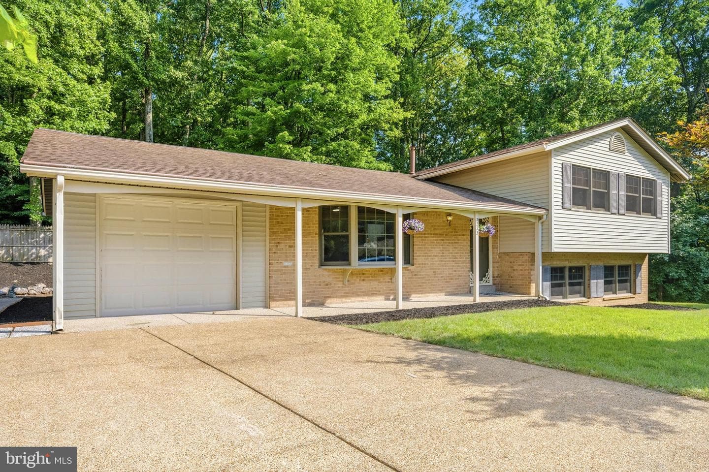 7233 Ashview Drive photo 3