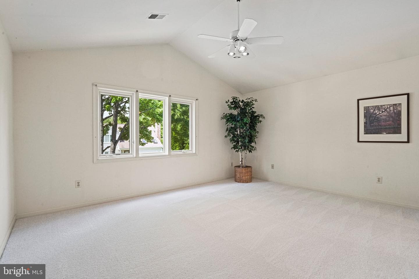 3120 Jerman Lane photo 31