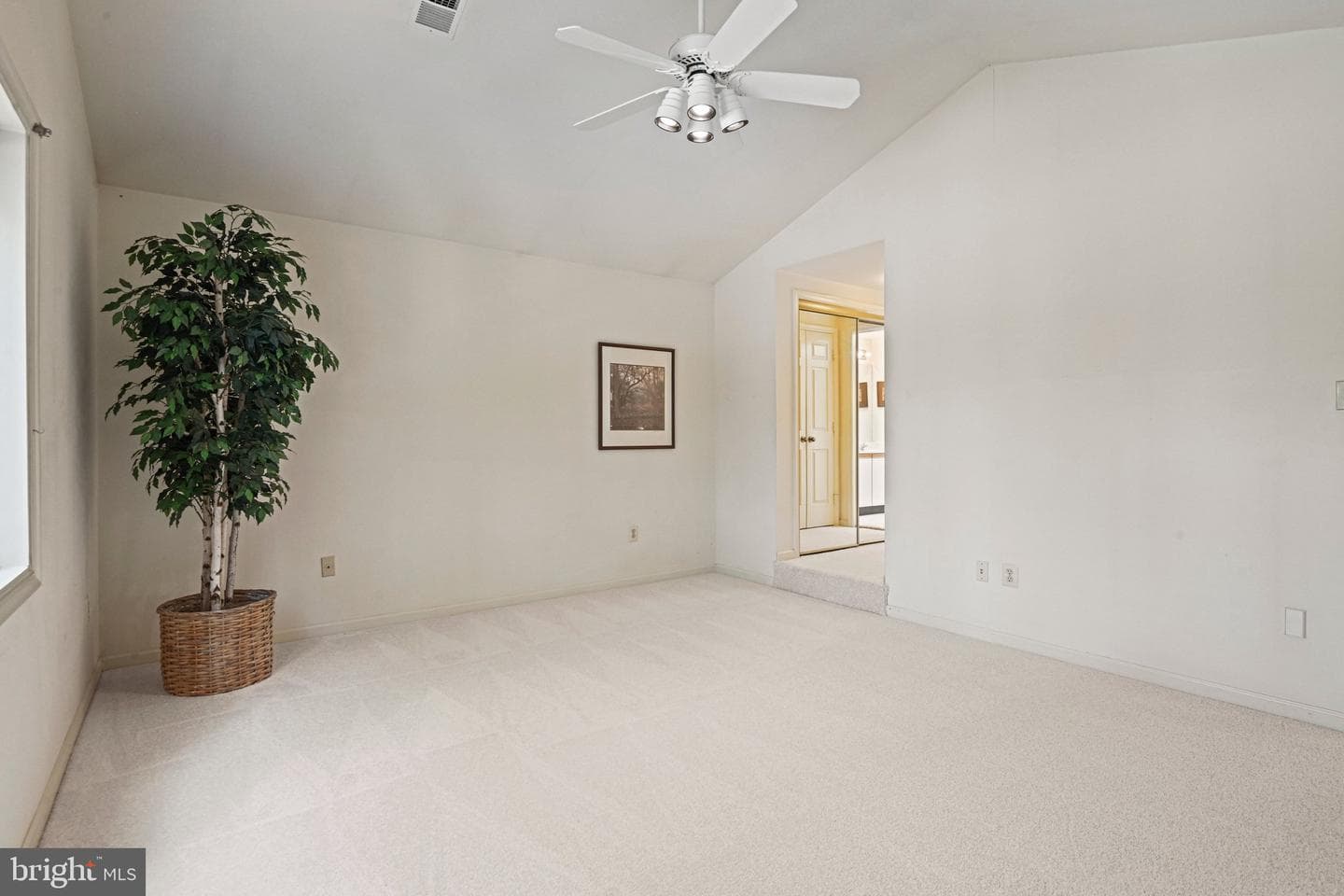 3120 Jerman Lane photo 32
