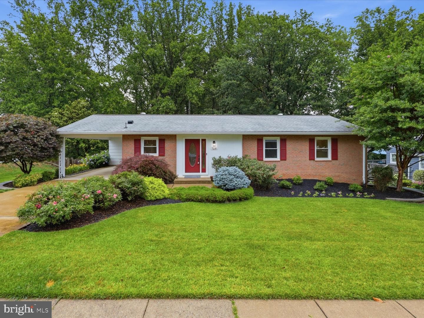 7218 Hadlow Drive photo 3