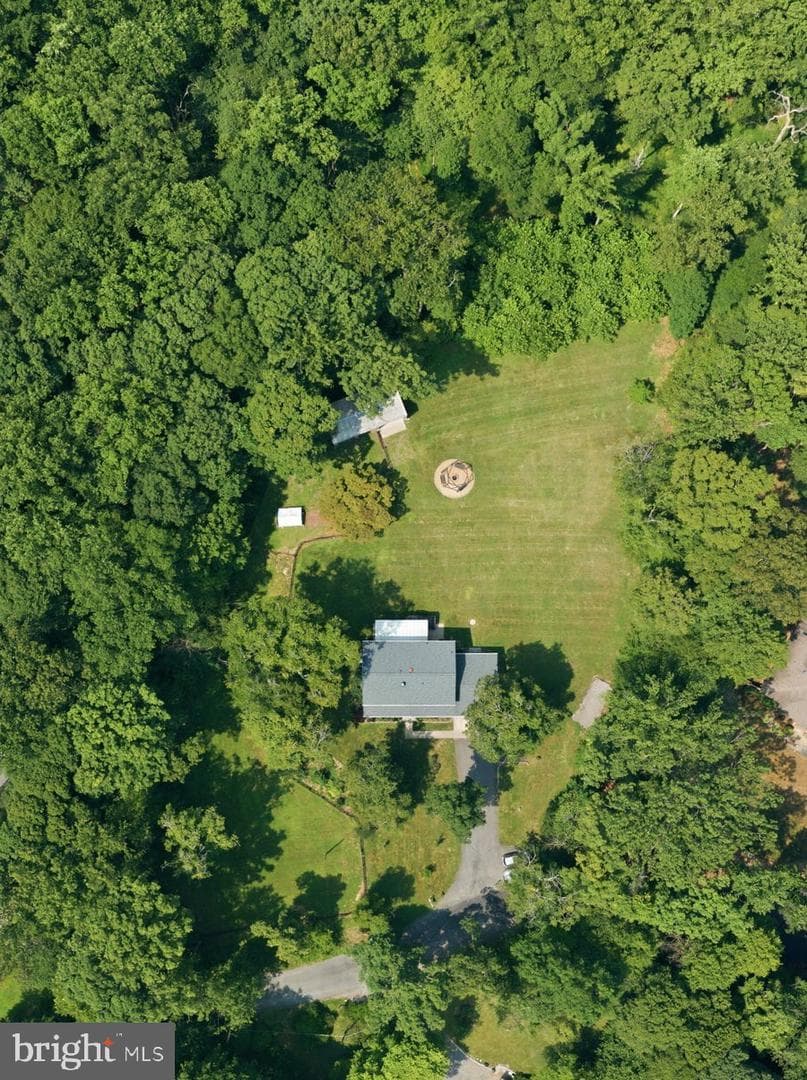 10834 Henderson Road photo 60
