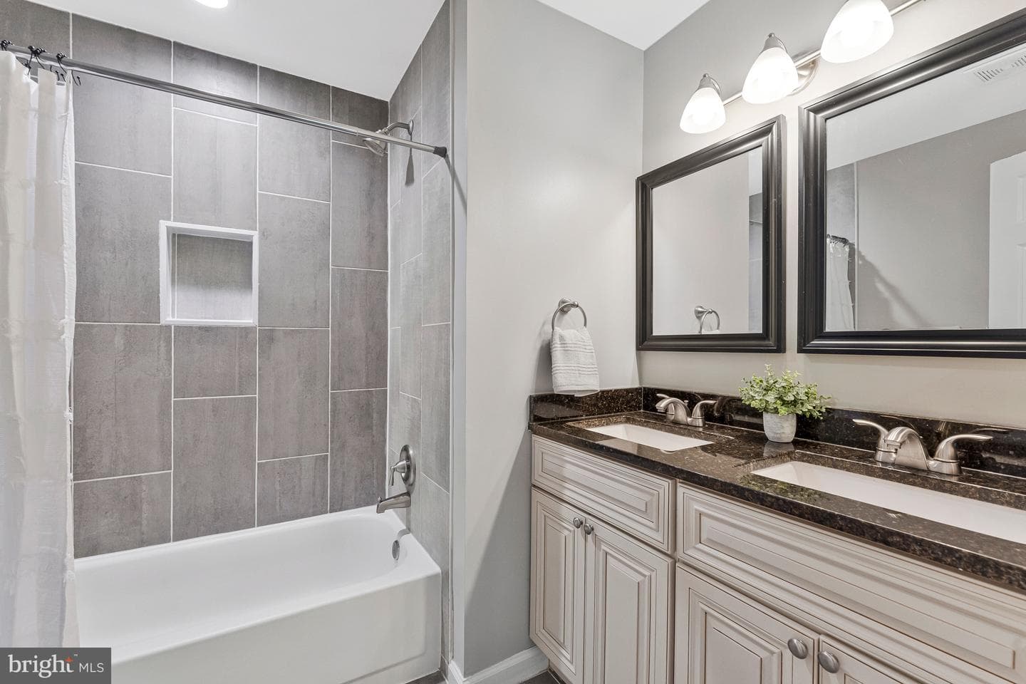 12336 Field Lark Court photo 11