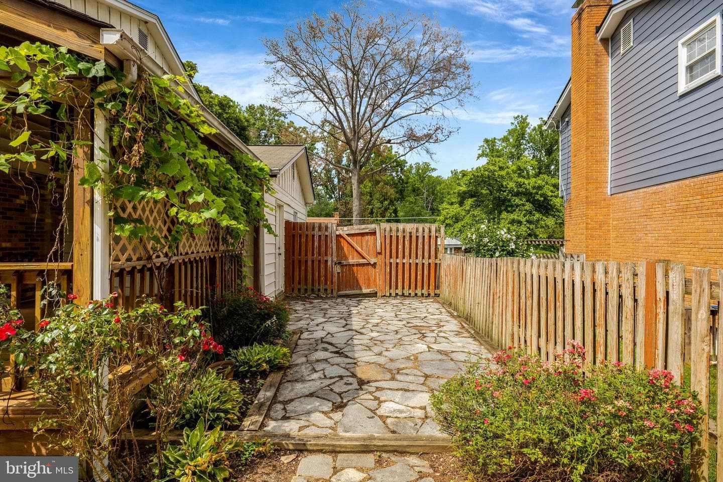 9217 Santayana Drive photo 46