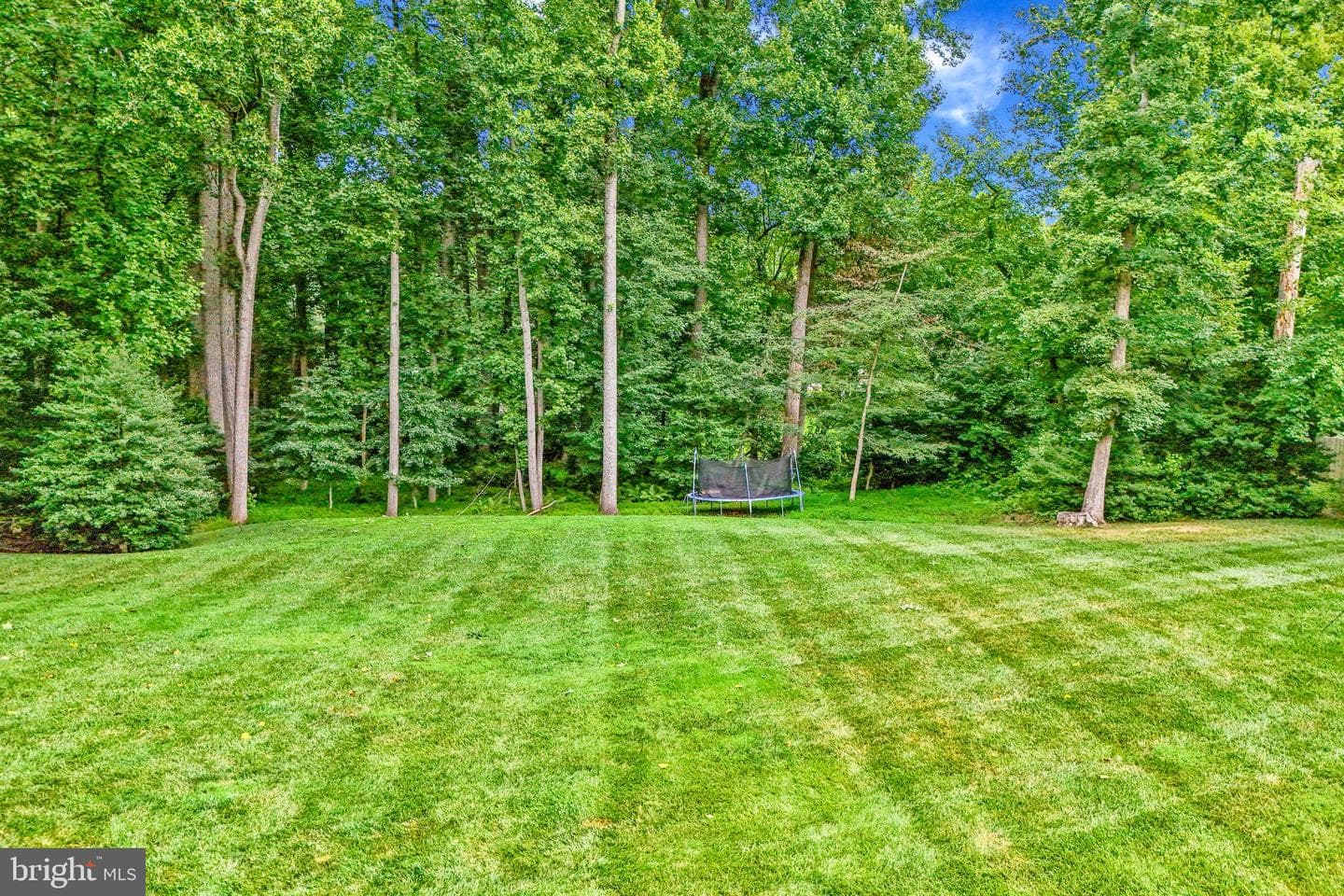 11556 Holly Briar Lane photo 14
