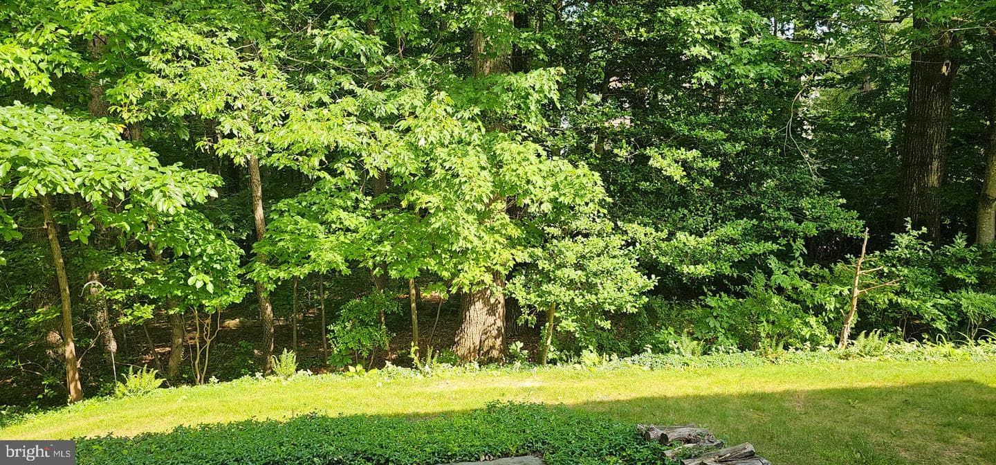 5243 Kaywood Court photo 12