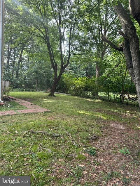 14709 Bentley Square photo 12