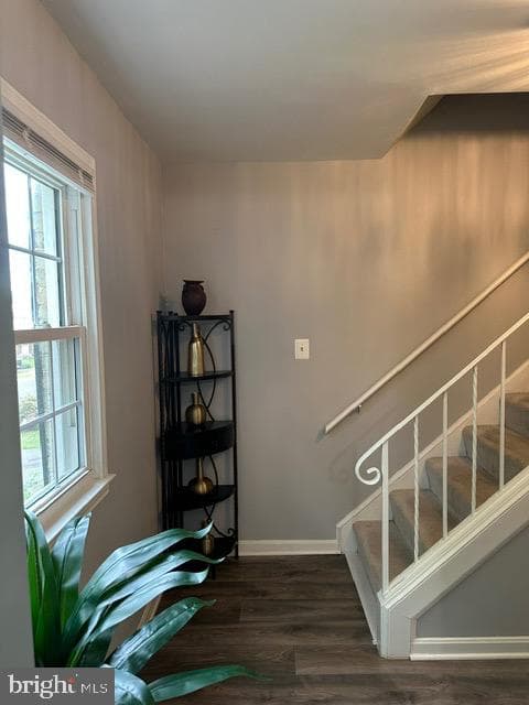 14709 Bentley Square photo 39