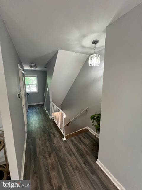 14709 Bentley Square photo 42