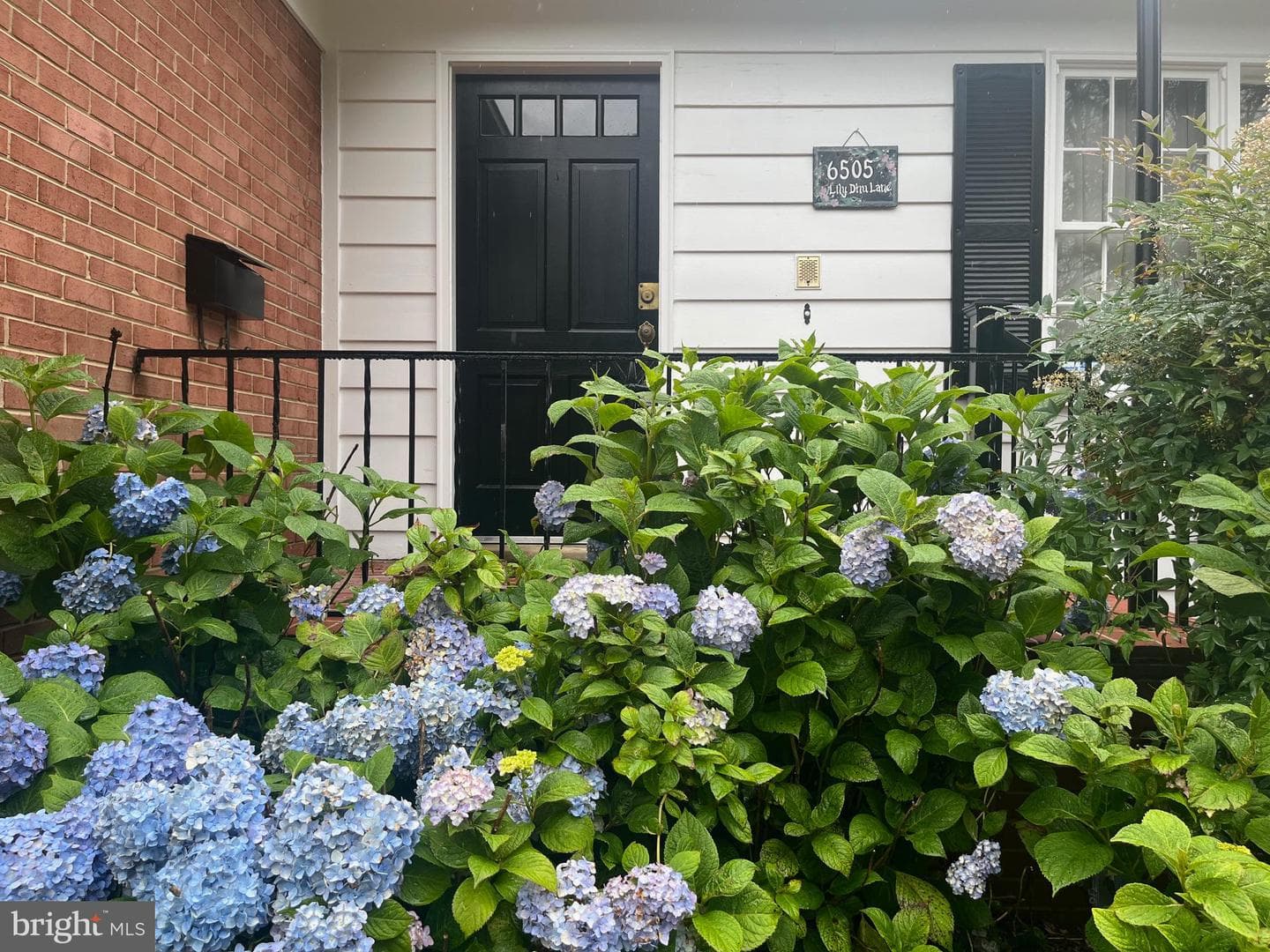 6505 Lily Dhu Lane photo 11