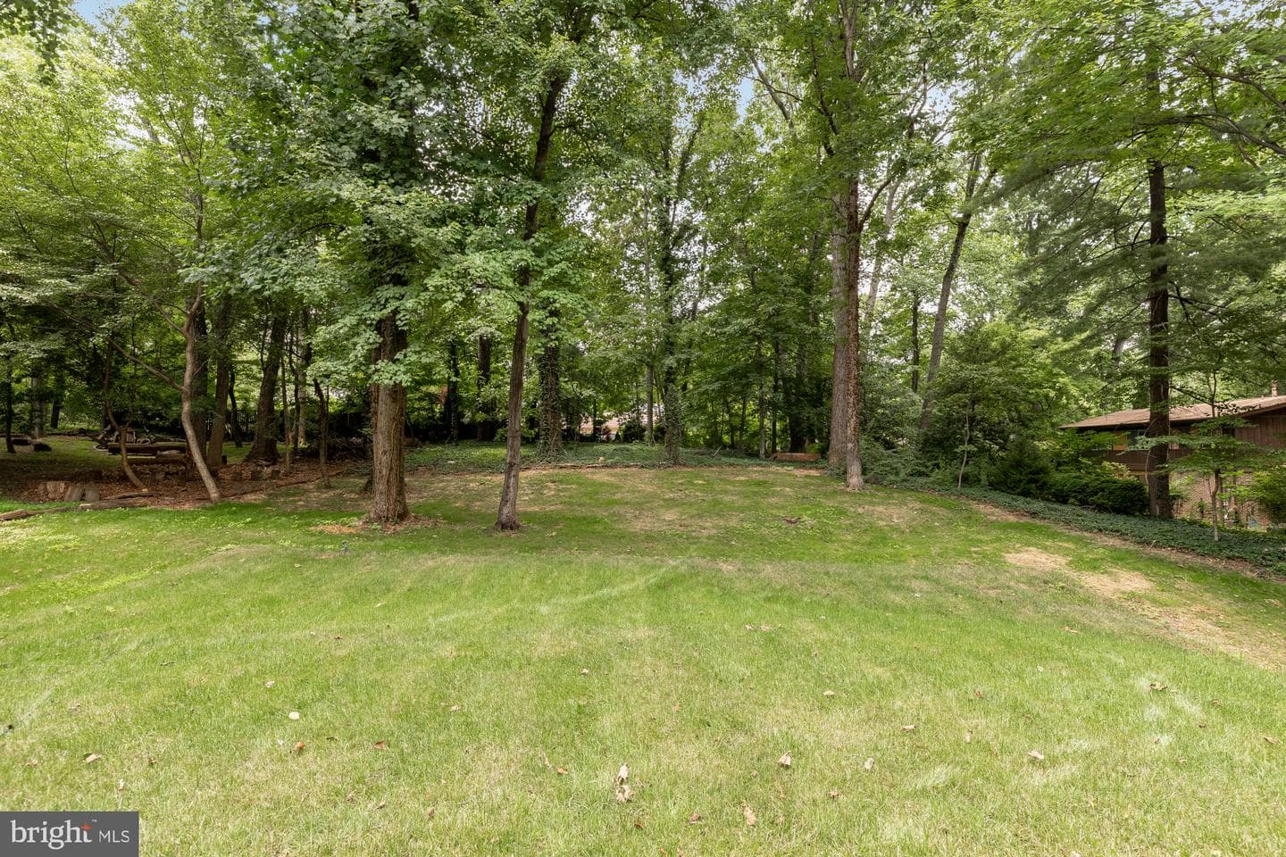 4304 Ann Fitz Hugh Drive photo 33