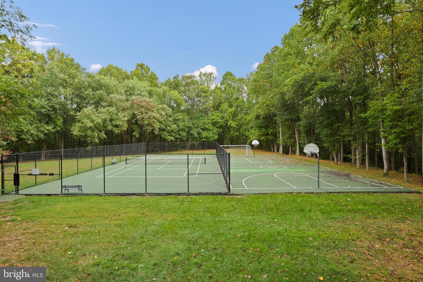 11615 Hunters Green Court photo 56