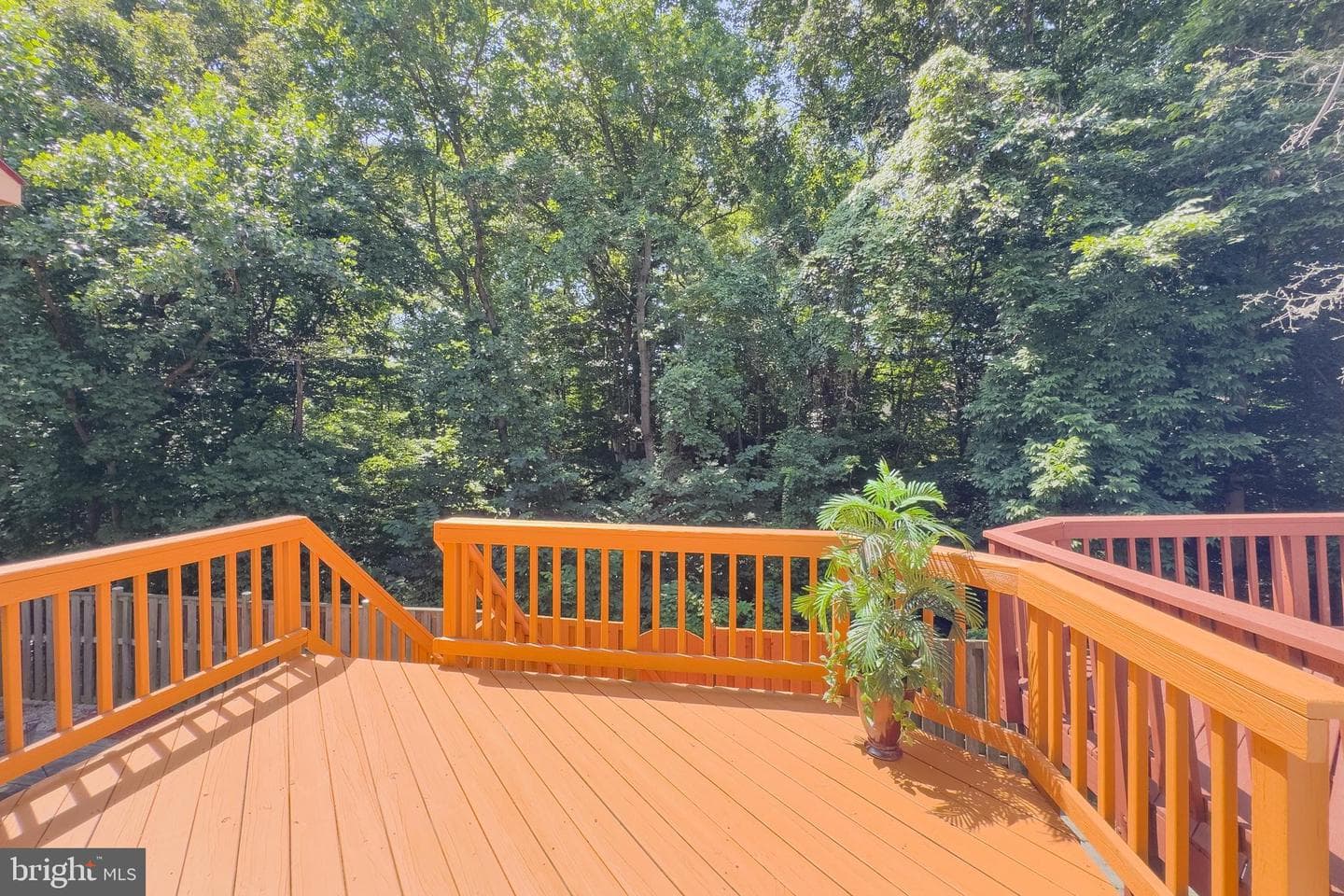 8434 Springfield Oaks Dr photo 38