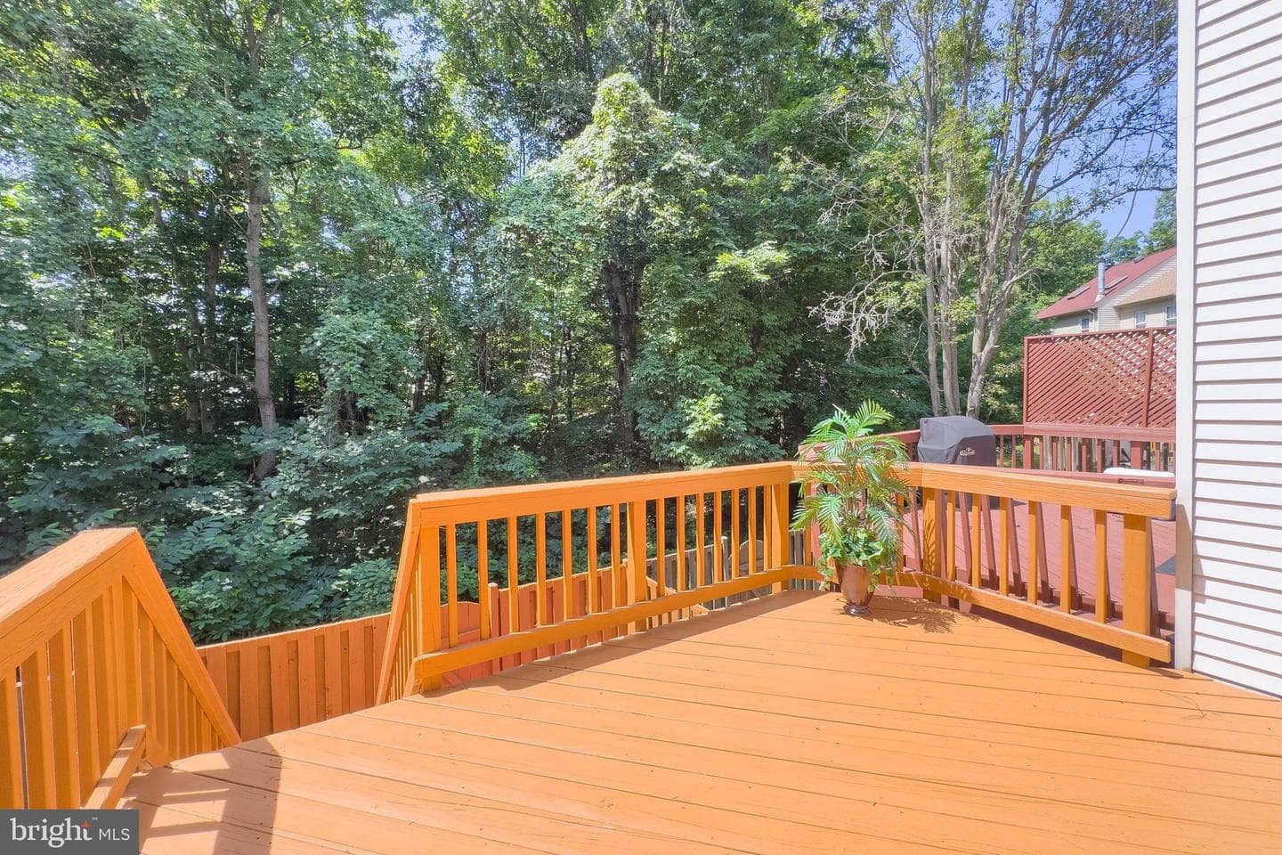 8434 Springfield Oaks Dr photo 39