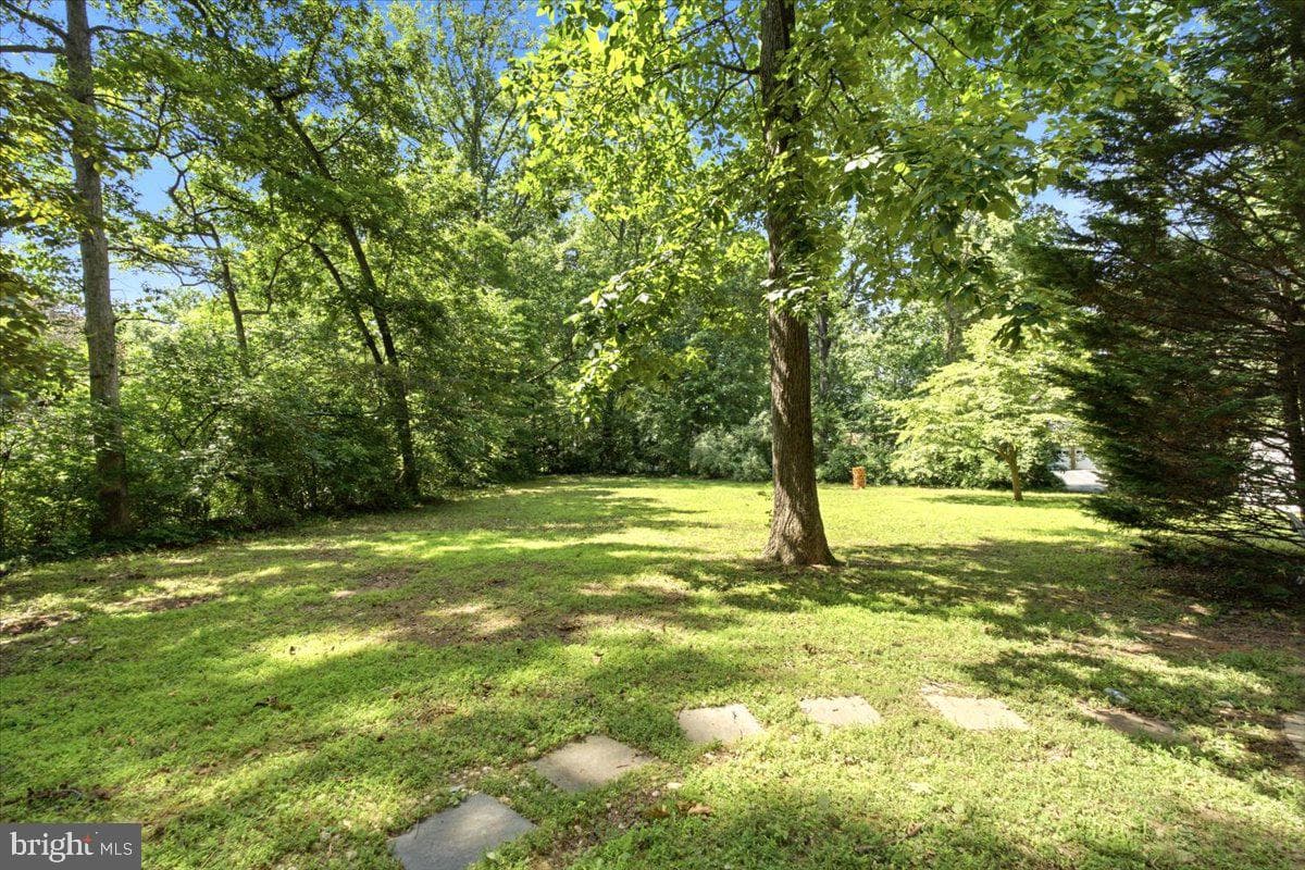 5803 Hall Street photo 73