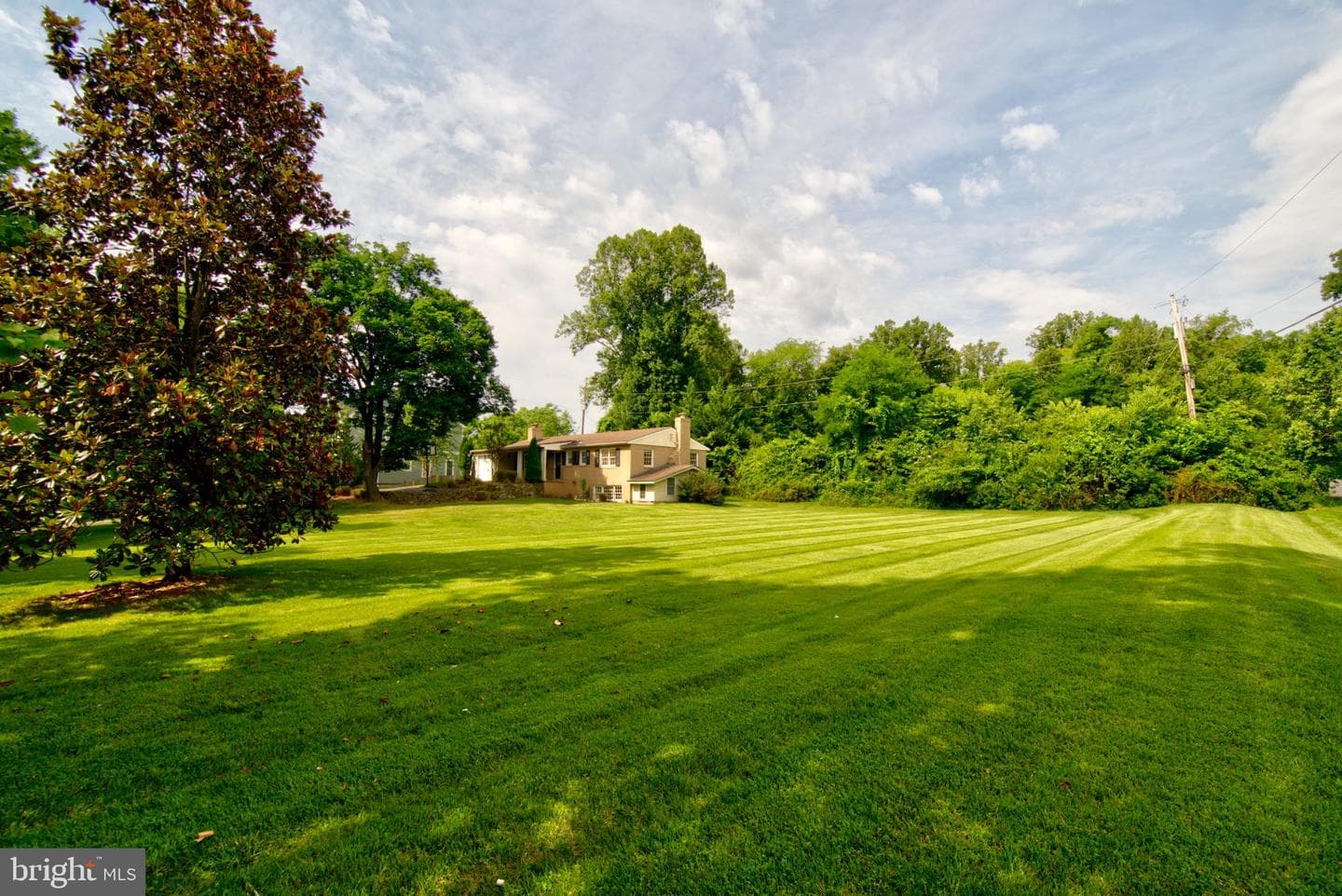 900 Walker Road photo 3
