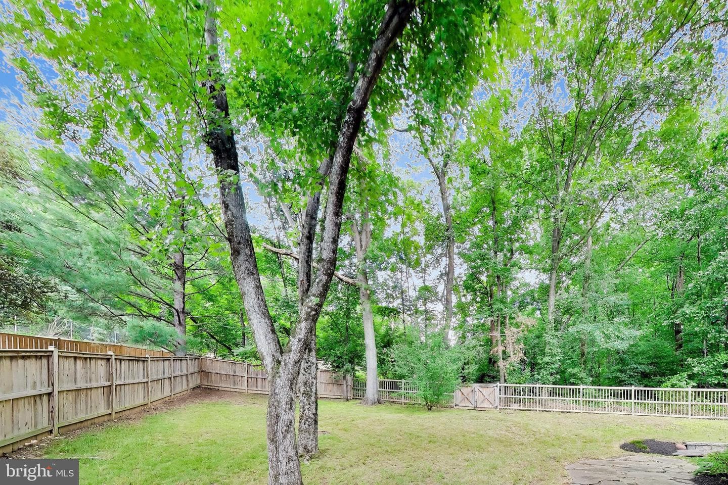 6800 Moon Rock Court photo 55
