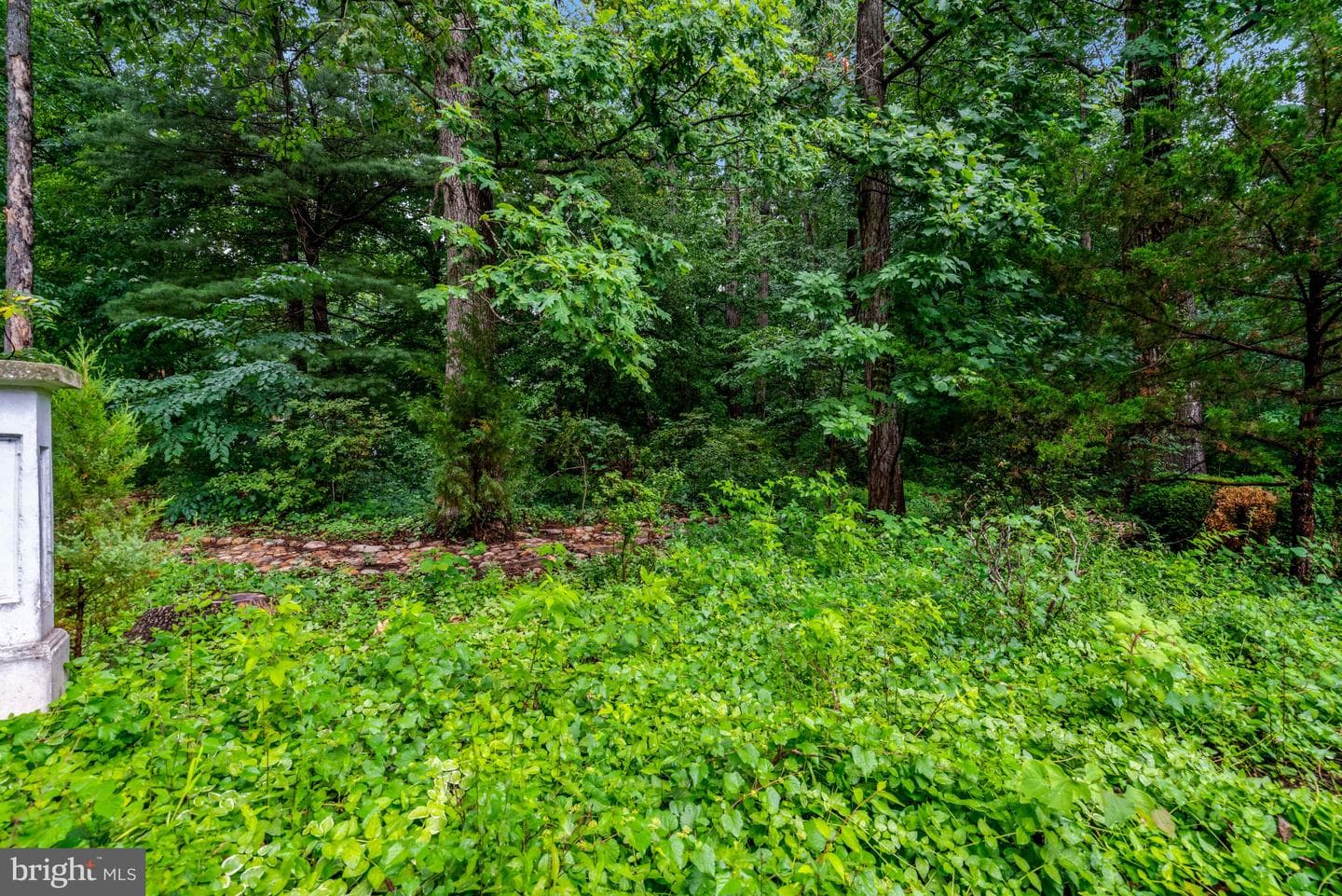 8304 Five Gates Road photo 85