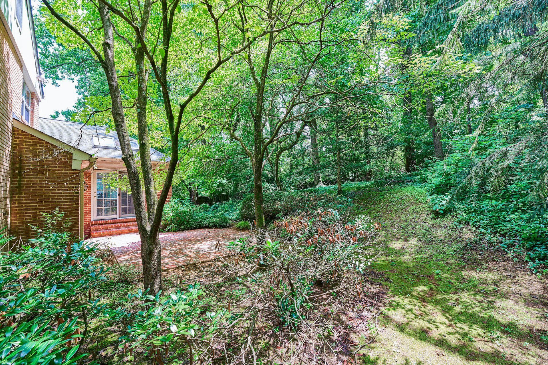 3606 Bent Branch Court photo 51