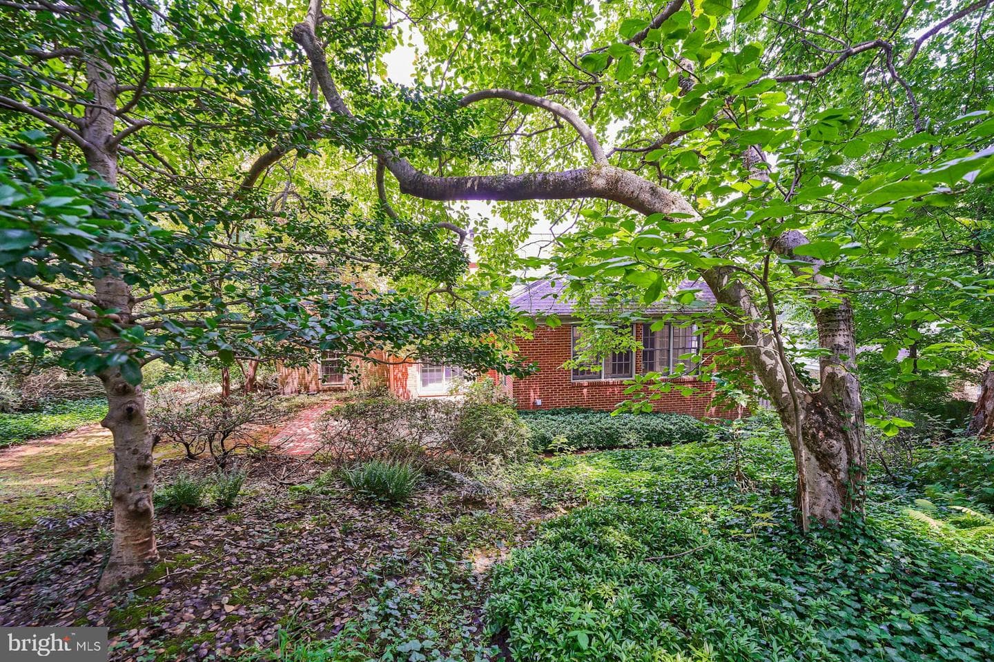 3606 Bent Branch Court photo 53