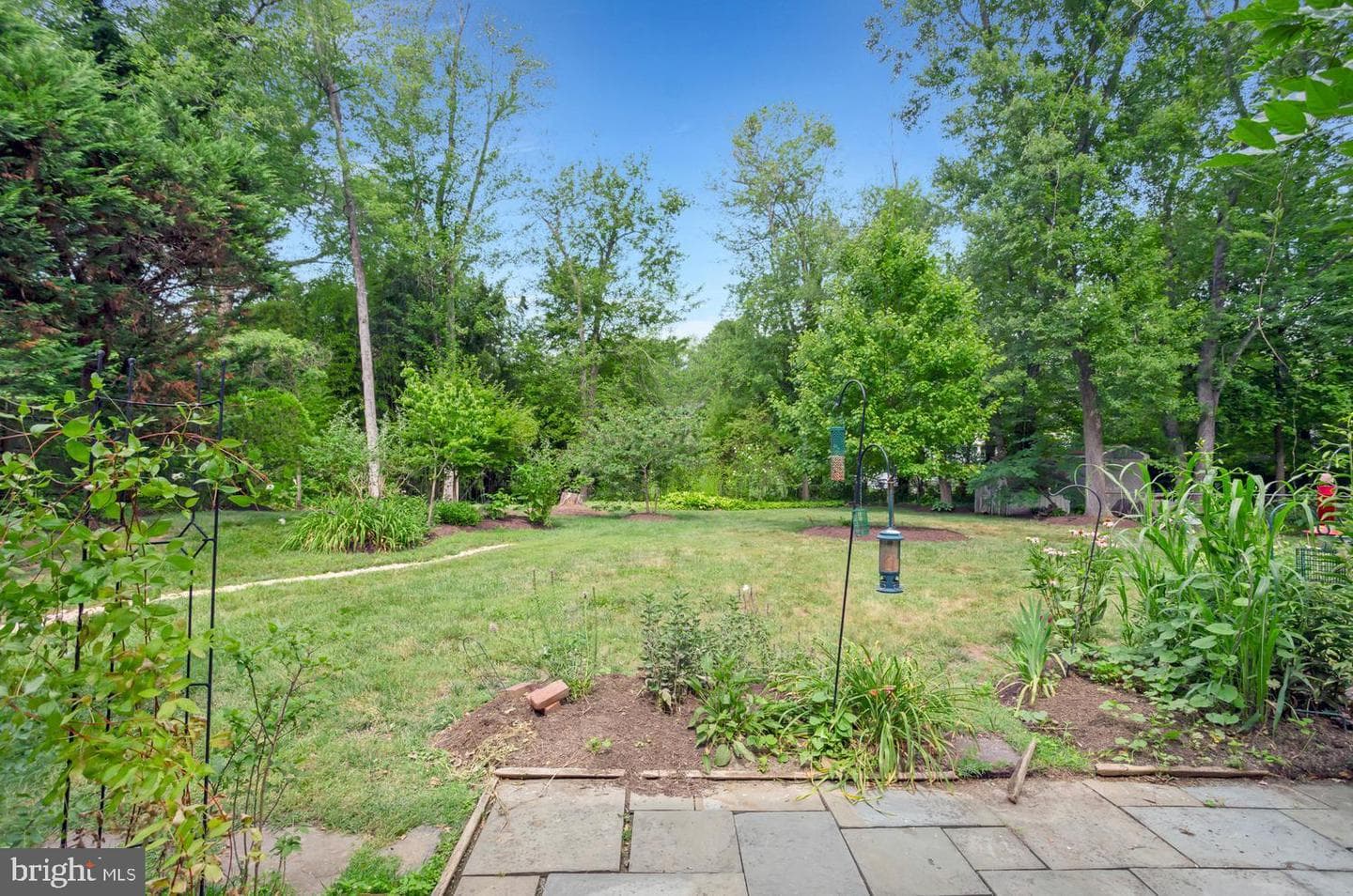 8540 Mount Zephyr Drive photo 34