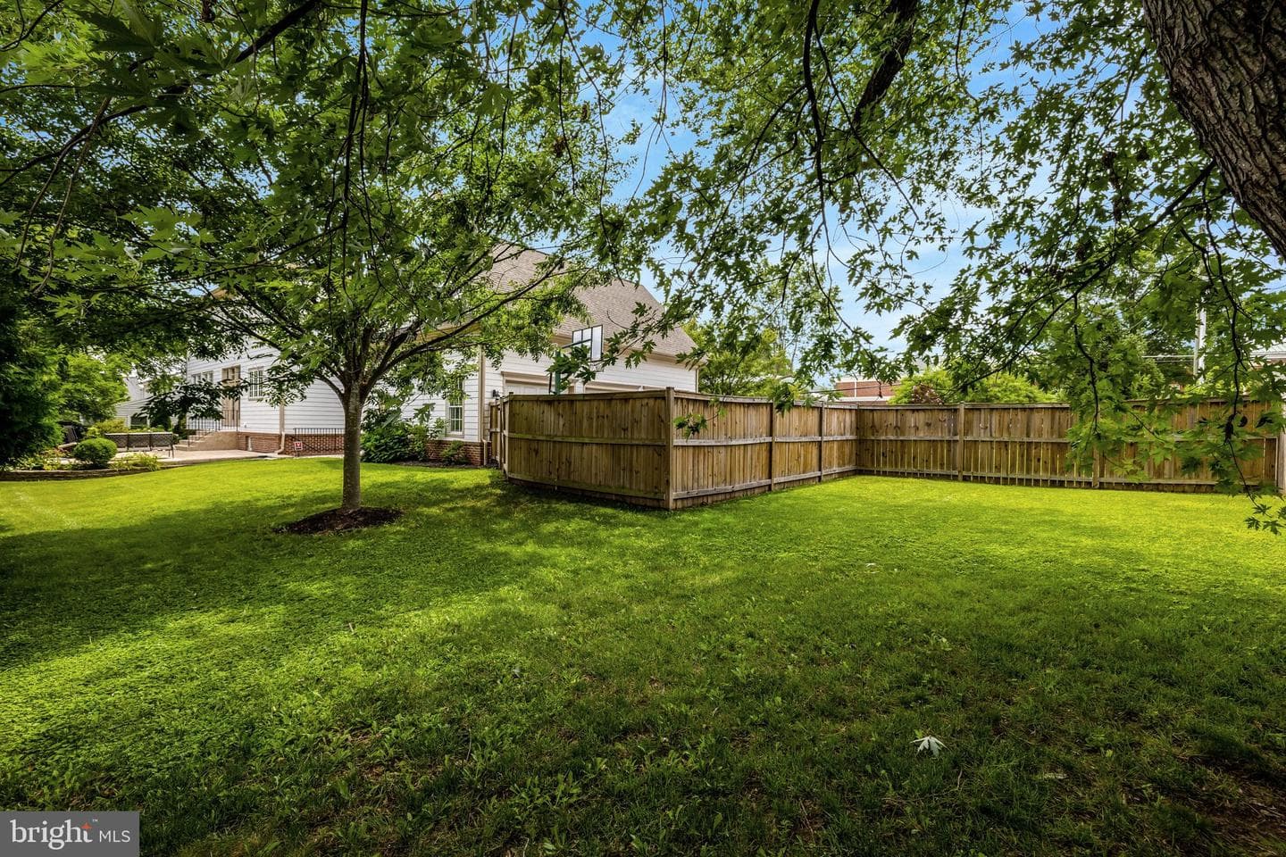 904 Locust Street photo 65