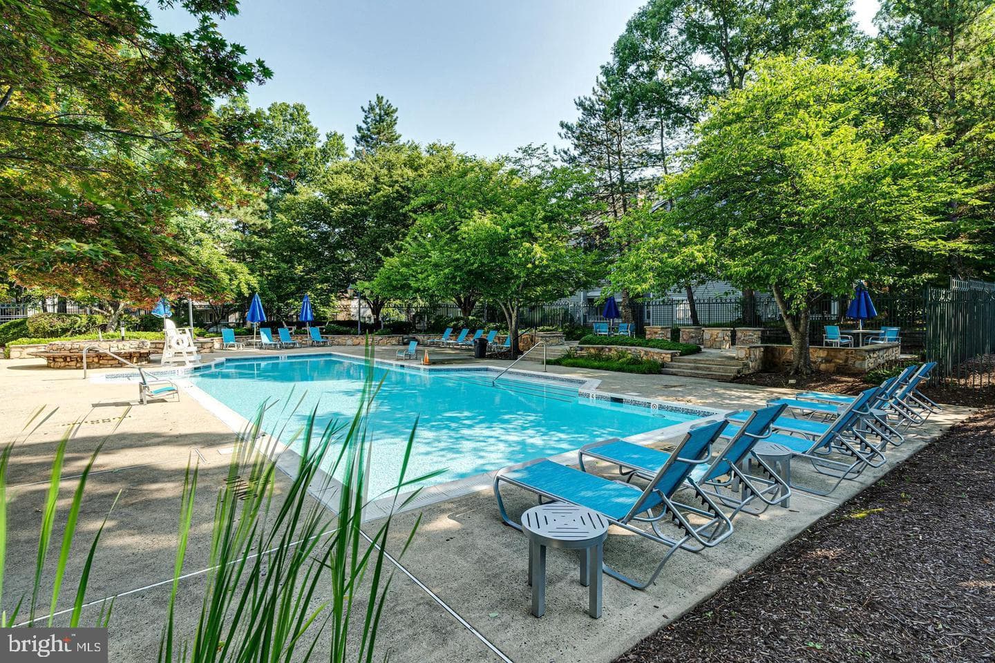 4405 Fair Stone Drive #204 photo 27