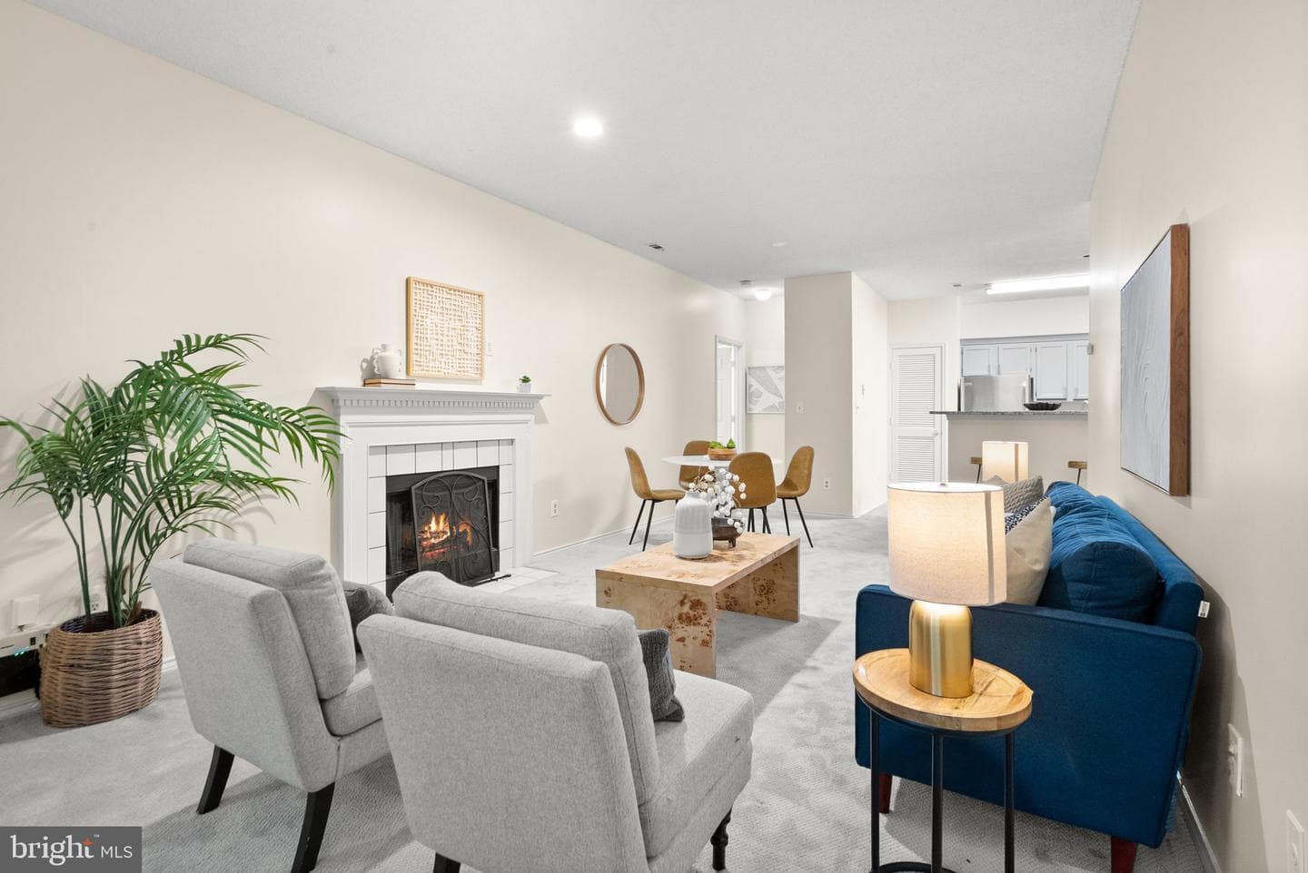 4405 Fair Stone Drive #204 photo 5
