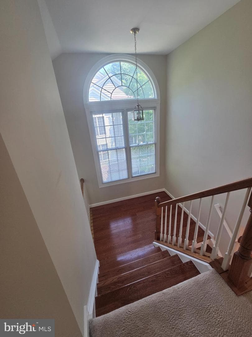 9546 Lagersfield Circle photo 26